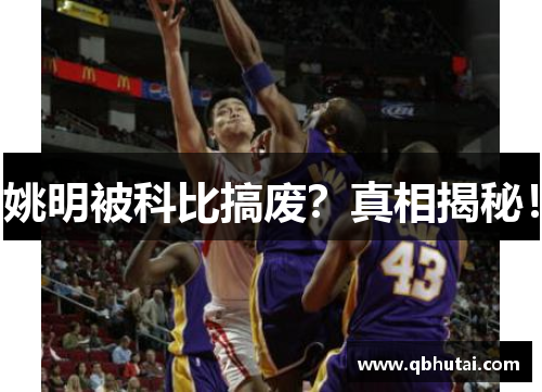 姚明被科比搞废？真相揭秘！