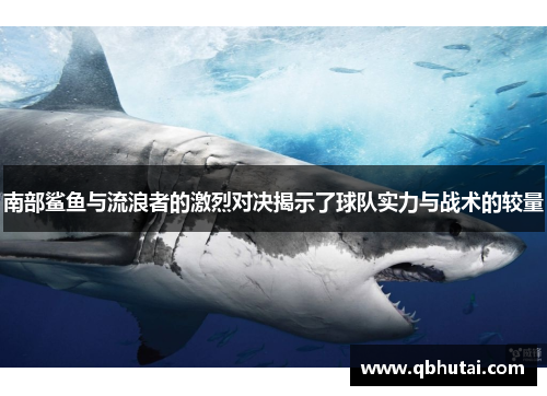 南部鲨鱼与流浪者的激烈对决揭示了球队实力与战术的较量